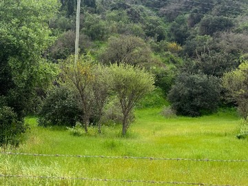 Imagen 6