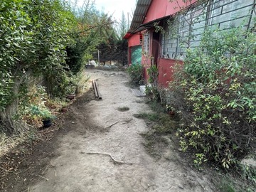 Imagen 20