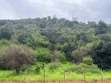 Imagen 7