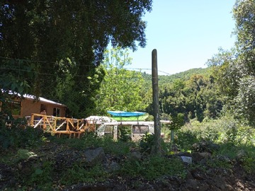 Imagen 11
