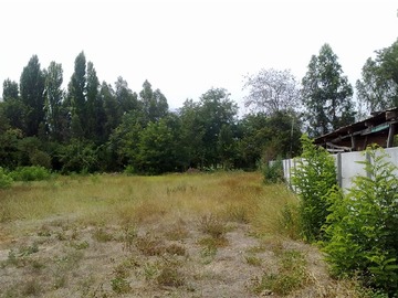 Venta / Sitio / Mostazal