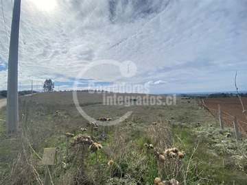 Imagen 6