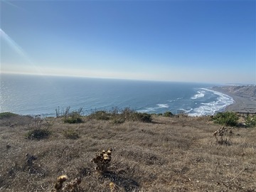 Venta / Sitio / Navidad