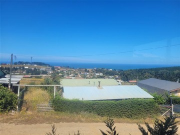 Venta / Sitio / Navidad