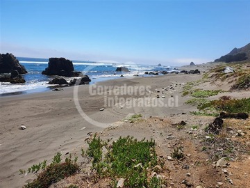 Imagen 12