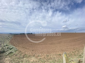 Imagen 17