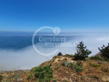 Imagen 6