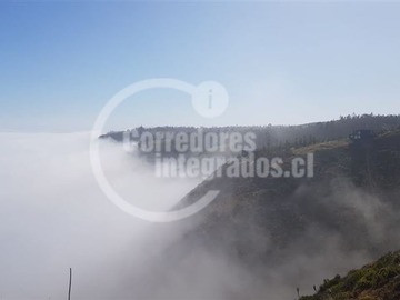 Imagen 7