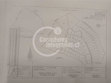 Imagen 13