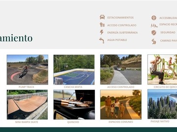 Imagen 10