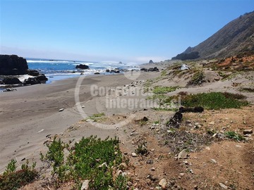 Imagen 11