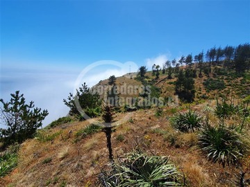 Imagen 10
