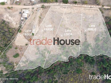 Venta / Sitio / Navidad