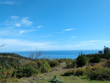 Venta / Sitio / Navidad