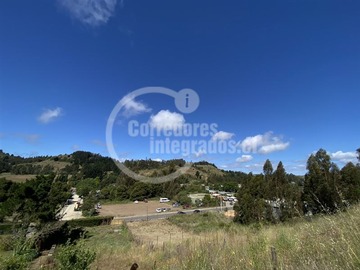 Imagen 6