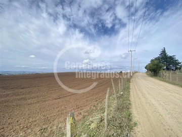 Venta / Sitio / Navidad
