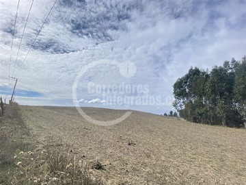 Imagen 6