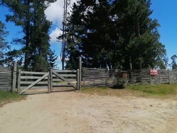 Venta / Sitio / Navidad