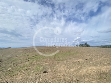 Imagen 20