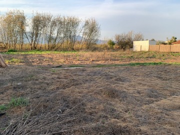 Venta / Sitio / Olivar