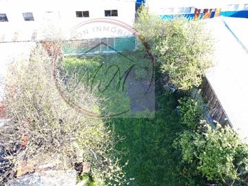 Imagen 6