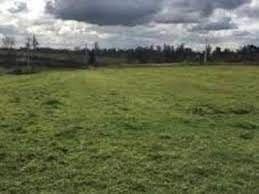 Venta / Sitio / Osorno