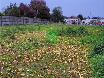 Imagen 13
