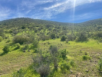 Venta / Sitio / Ovalle