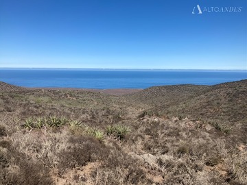 Venta / Sitio / Ovalle