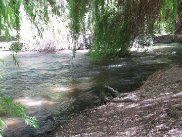 Imagen 7