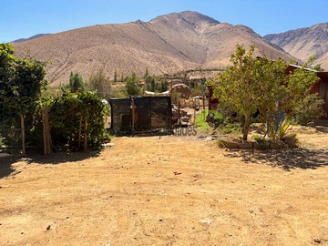Imagen 15