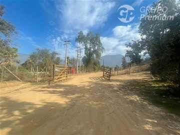 Imagen 6