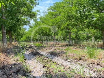Imagen 7