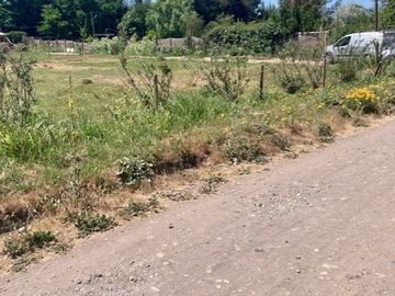 Imagen 12