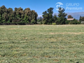 Venta / Sitio / Paine