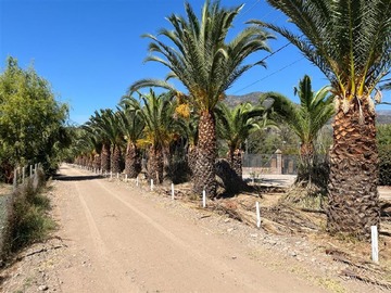 Venta / Sitio / Paine