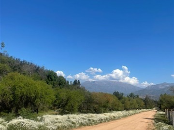 Imagen 7