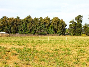 Venta / Sitio / Paine