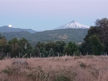 Venta / Sitio / Panguipulli