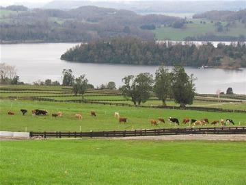 Venta / Sitio / Panguipulli