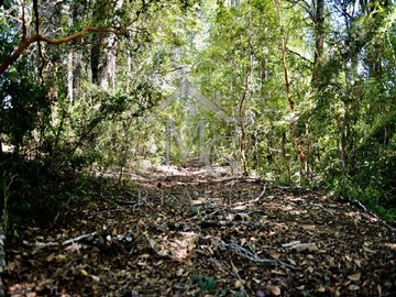 Imagen 16