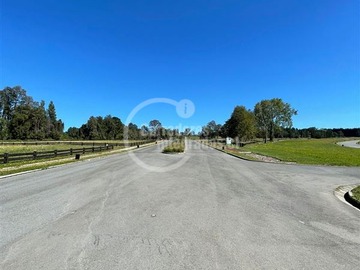 Imagen 11