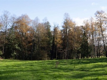 Venta / Sitio / Panguipulli