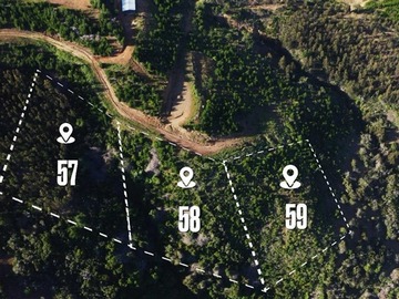 Venta / Sitio / Paredones