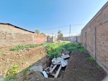Imagen 3