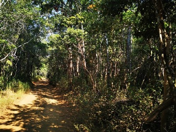 Venta / Sitio / Pelluhue
