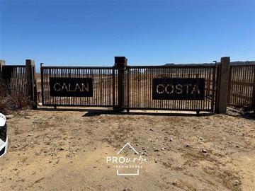 Venta / Sitio / Pelluhue