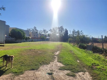 Venta / Sitio / Peñaflor