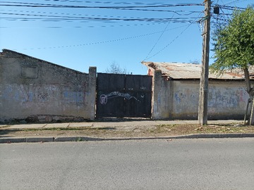 Imagen 5