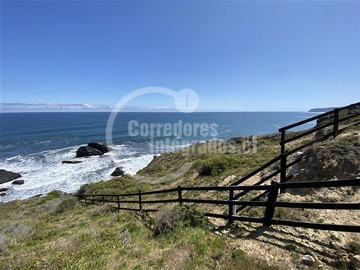 Imagen 7
